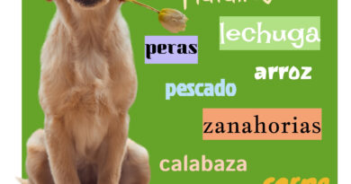 ¿Qué puede comer mi mascota?
