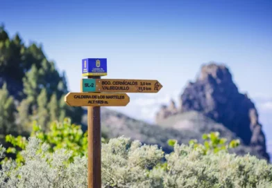 TELDE VERDE: Biodiversidad Canaria en Miniatura